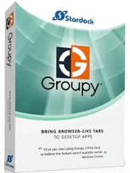 Groupy - 1 PC