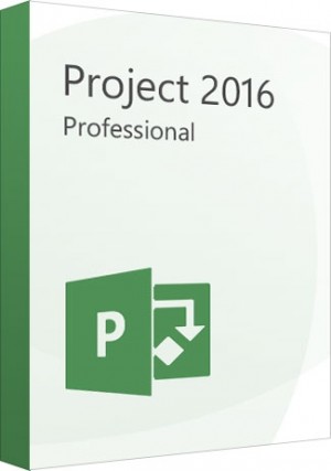 Microsoft Project Professional 2016 (1PC)